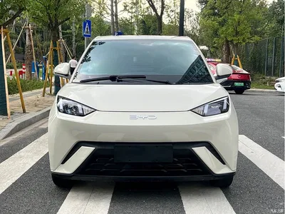 2024 BYD Seagull Glory Edition 305km Freedom Edition, фото 2, лот 10255372