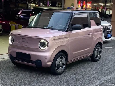 2023 Geely Galaxy Panda Mini 200km Endurance Bear, фото 1, лот 10429532