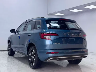 2022 Škoda Karoq TSI280 Luxury Edition, фото 4, лот 10349390