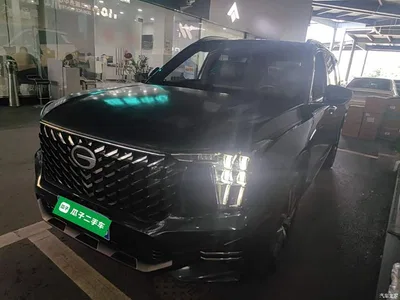 2024 GAC Trumpchi Trumpchi GS8 Navigator Series 2.0TGDI 2WD Luxury Smart Connect Edition, фото 2, лот 10422676