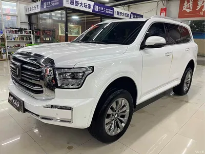 2024 Tank 500 EV Hi4-T, фото 3, лот 11242110