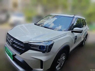 2020 Venucia T60 Model 1.6L CVT Zhixing Edition China VI, фото 2, лот 10449123