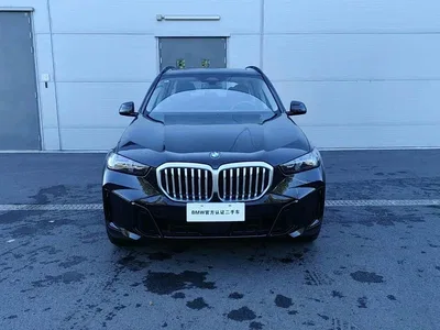 2025 BMW X5 Model xDrive 30Li Exclusive M Sport Blackout Package, фото 2, лот 10954794