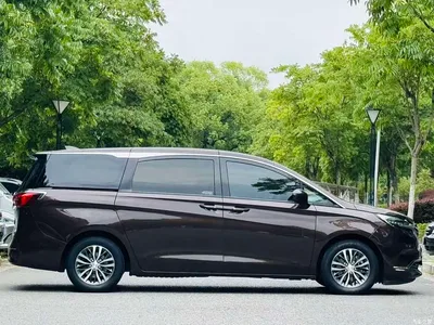 2020 Buick GL8 Model ES Landglory 653T Premium, фото 4, лот 10887389