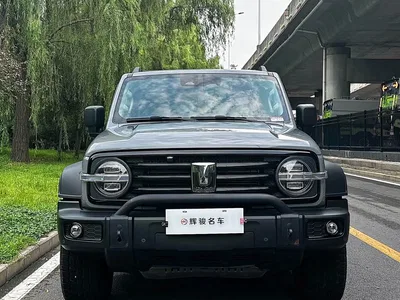 2023 Tank 300 Off-Road Edition 2.0T Conqueror, фото 2, лот 10344742
