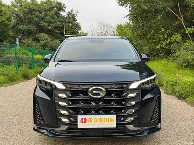 2021 GAC Trumpchi Trumpchi M6 PRO 270T Automatic Luxury Edition, фото 2, лот 10419856