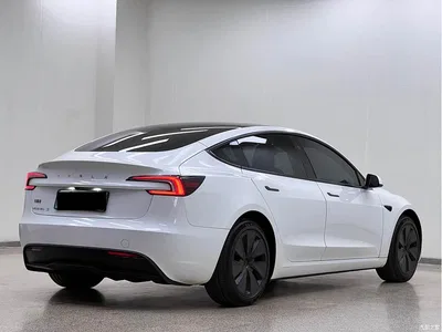 2023 Tesla Model 3 Rear-Wheel Drive, фото 3, лот 10696844