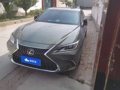 2022 Lexus ES 200 Excellence Edition, фото 1, лот 11202724