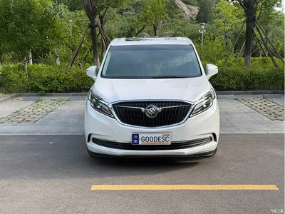 2018 Buick GL8 ES 28T Comfort Type China VI, фото 1, лот 10256132