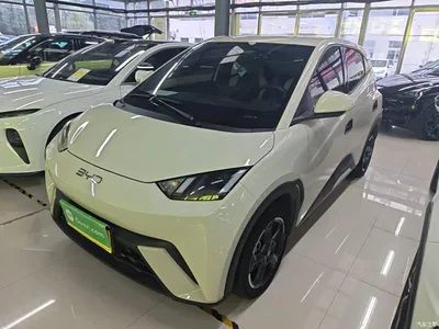 2024 BYD Seagull Glory Edition 305km Freedom Edition, фото 2, лот 11104579