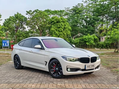 2018 BMW 3 Series GT 320i Fashion, фото 3, лот 10473558