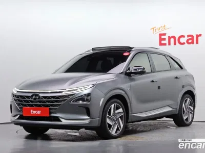 2021 Hyundai Nexo Premium, фото 1, лот 10373696