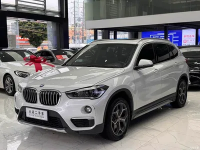 2019 BMW X1 xDrive20Li Premium Model, фото 1, лот 10464986
