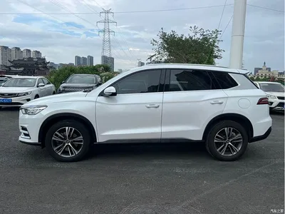 2019 BYD Song Pro 1.5T Automatic Elite, фото 4, лот 10255322