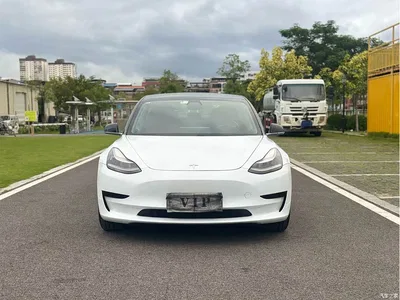 2020 Tesla Model 3 Standard Range Rear-Wheel Drive Upgrade, фото 2, лот 11203439
