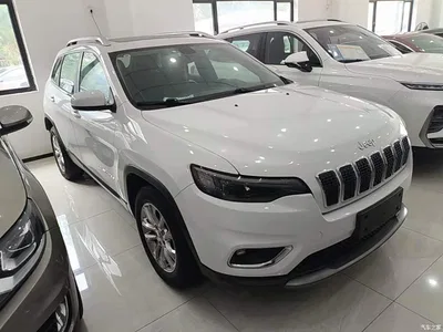 2019 Jeep Cherokee 2.0T 2WD Smart Edition China VI, фото 4, лот 10291922