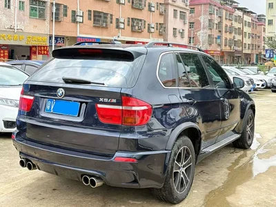 2009 BMW X5 (Import) xDrive30i Luxury, фото 3, лот 10463535