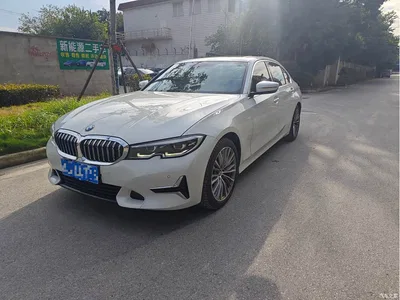 2020 BMW 3 Series 325Li Launch Edition, фото 1, лот 11568021
