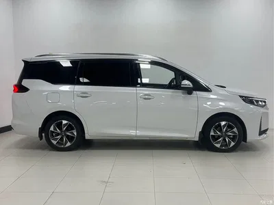 2021 GAC Trumpchi Trumpchi M6 PRO 270T DCT Luxury Edition, фото 4, лот 10418213