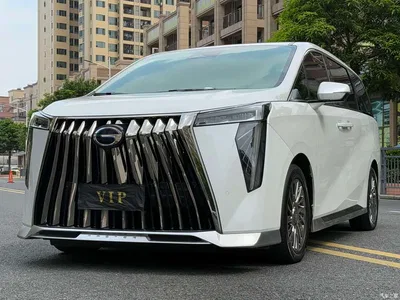 2023 GAC Trumpchi Trumpchi M8 Model Master Series Hybrid Royal Edition, фото 1, лот 10415591
