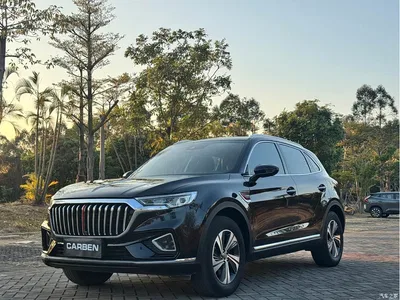 2019 Hongqi HS5 2.0T Smart Connect Enjoy Edition, фото 1, лот 10289031