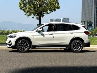 2022 BMW X1 xDrive25Li Premium, фото 3, лот 10465157