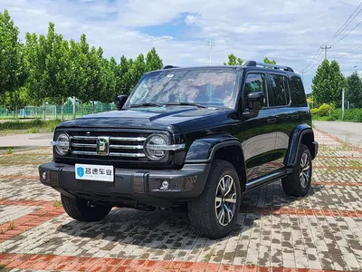 2023 Tank 300 Urban Edition 2.0T Very Stylish, фото 1, лот 10344001