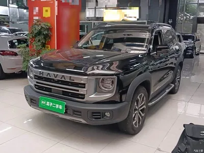 2024 Haval Big Dog 1.5T DCT Border Collie Edition, фото 2, лот 11412195