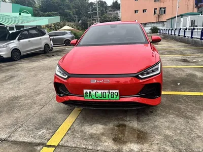 2023 BYD e2 Luxury Model, фото 4, лот 10257454