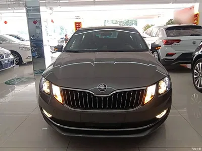 2019 Škoda Octavia TSI230 DSG Zhixing Luxury Edition China VI, фото 3, лот 10451798