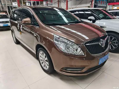 2018 Buick GL8 28T Luxury Model China VI, фото 2, лот 11195213