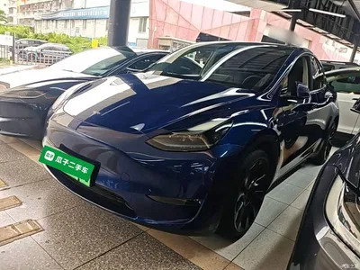 2021 Tesla Model Y Long Range All-Wheel Drive 3D7, фото 1, лот 10376780