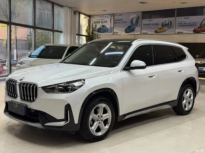 2023 BMW X1 sDrive20Li X Design Package, фото 1, лот 11096045