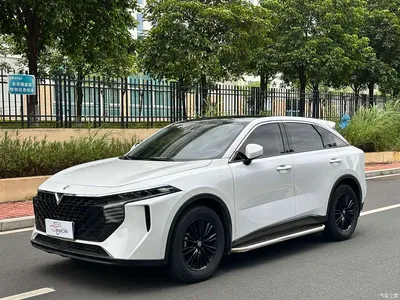 2021 Venucia Big V 260T Idol Edition, фото 1, лот 11153881