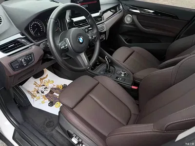2022 BMW X1 sDrive25Li Leading, фото 4, лот 10578240
