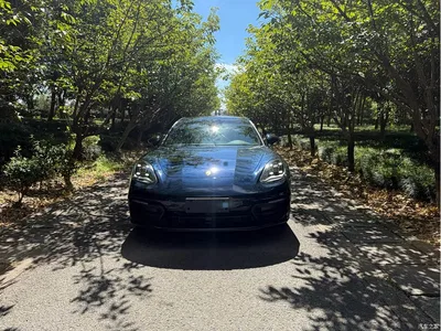 2023 Porsche Panamera 2.9T Platinum Edition, фото 1, лот 10435616