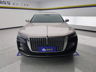 2020 Hongqi H9 3.0T Smart Connect Flagship 4-Seater, фото 3, лот 10304049