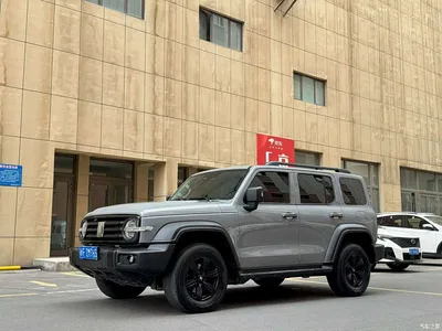 2021 Tank 300 Off-road Version 2.0T Conqueror, фото 1, лот 10357324