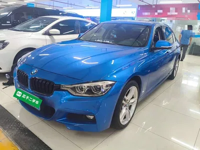 2018 BMW 3 Series 320Li Leading M Sport Package, фото 2, лот 10457792