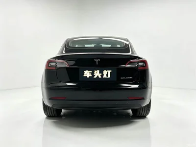2019 Tesla Model 3 (Import) Performance High-Efficiency All-Wheel Drive Version, фото 4, лот 11571350