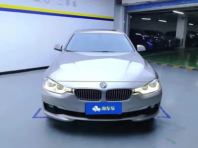 2018 BMW 3 Series 320Li Fashion Style, фото 2, лот 10770774
