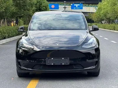 2021 Tesla Model Y Model Long Range AWD, фото 2, лот 11548952