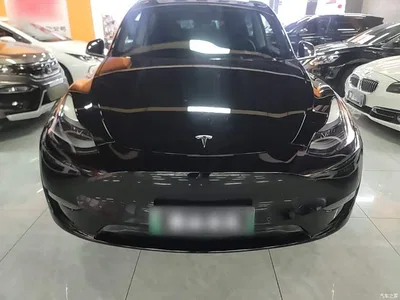 2022 Tesla Model Y Rear-Wheel Drive Version, фото 3, лот 10593665