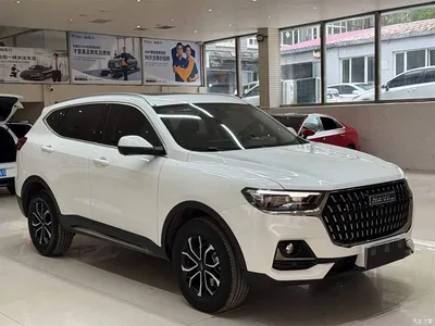 2023 Haval H6 National Trend Edition 1.5T Automatic Urban, фото 3, лот 10299518