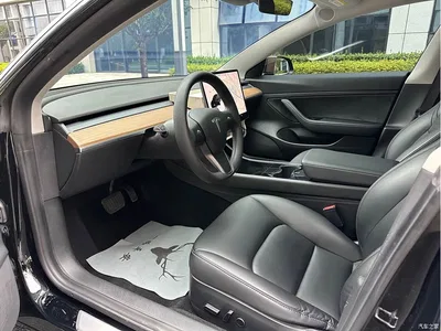 2020 Tesla Model 3 Facelift Standard Range RWD Upgrade, фото 4, лот 11243872