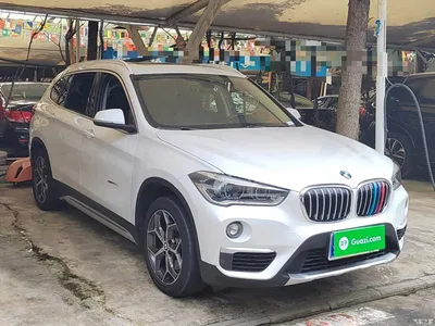 2018 BMW X1 xDrive20Li Premium Model, фото 4, лот 10826233
