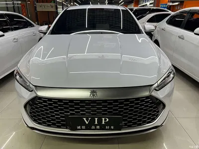 2024 BYD Qin PLUS Glory Edition DM-i 55KM Leading, фото 2, лот 10363042
