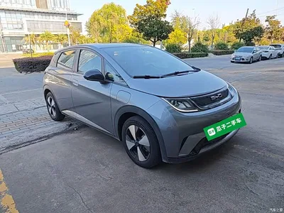 2023 BYD Dolphin 420km Freedom Edition, фото 4, лот 10259457