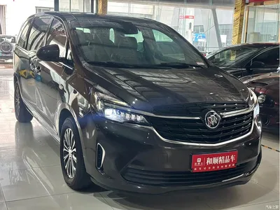 2021 Buick GL8 Land Business Class 652T Luxury, фото 3, лот 11210613