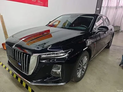 2025 Hongqi H5 1.5T DCT Flag Rhythm 500,000 Units Memorial Edition, фото 1, лот 10289355